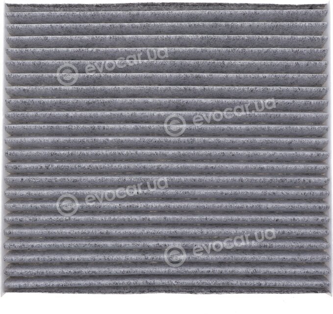 Solgy 104093