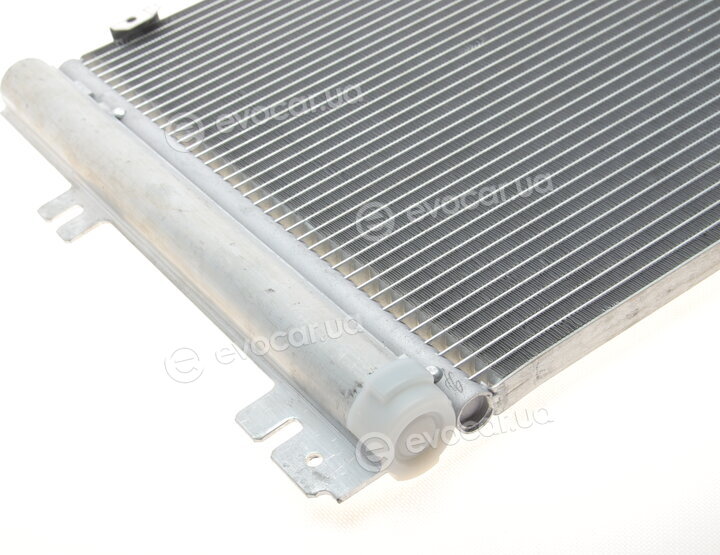 Van Wezel 37005367