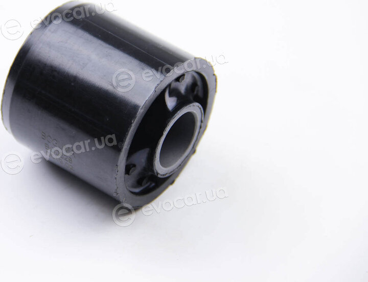 BC Guma 0628