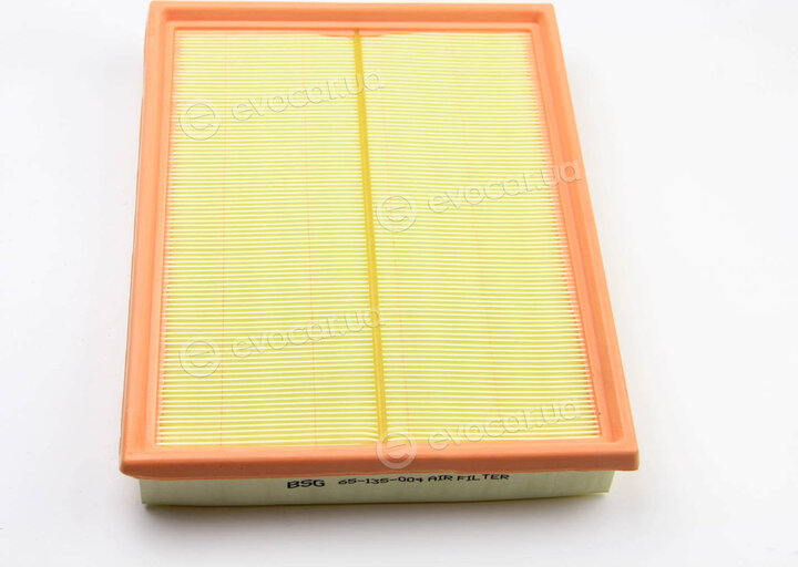 BSG BSG 65-135-004