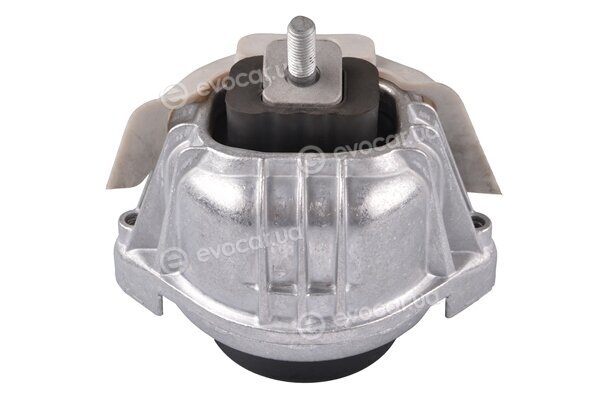 Tedgum TED62178