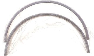 Mahle 081 PL 21836 000