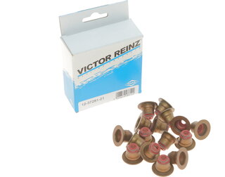 Victor Reinz 12-37281-01