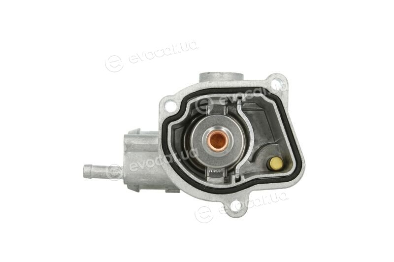 Motorad 503-87K