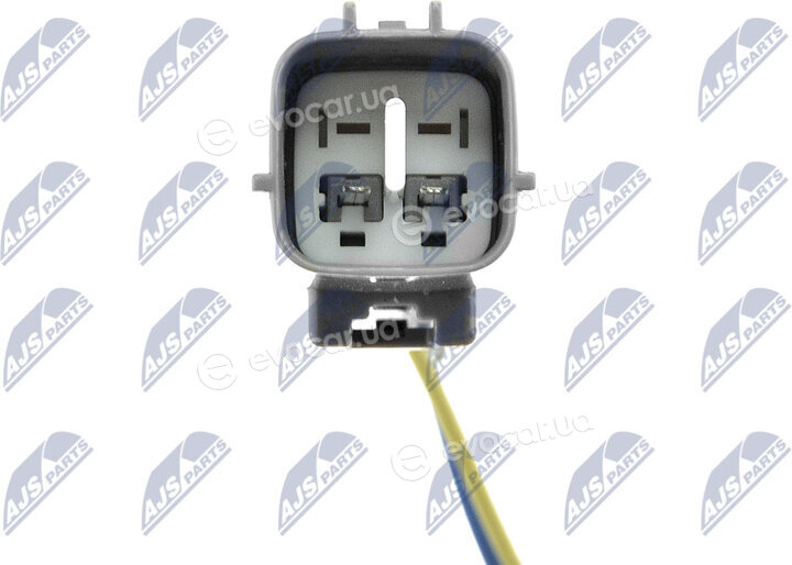 NTY ESL-MZ-004