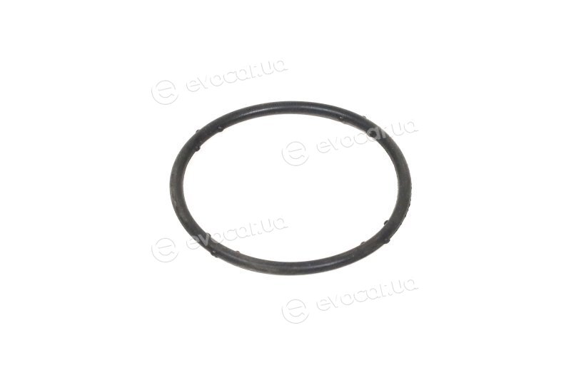 Elring 625.270