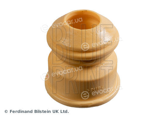 Blue Print ADBP800469
