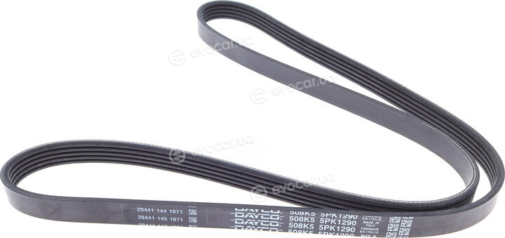 Dayco 5PK1290