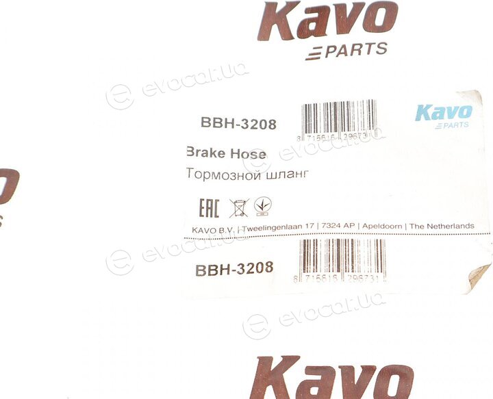 Kavo BBH-3208