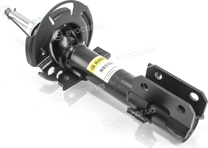 Raiso RS315866