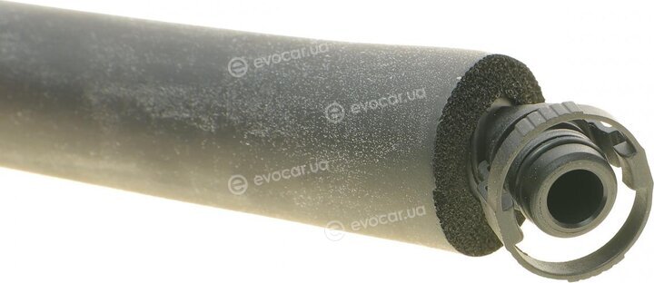 AIC 55082