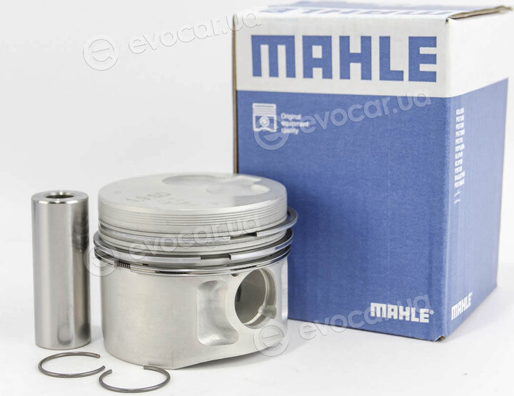 Mahle 029 82 12