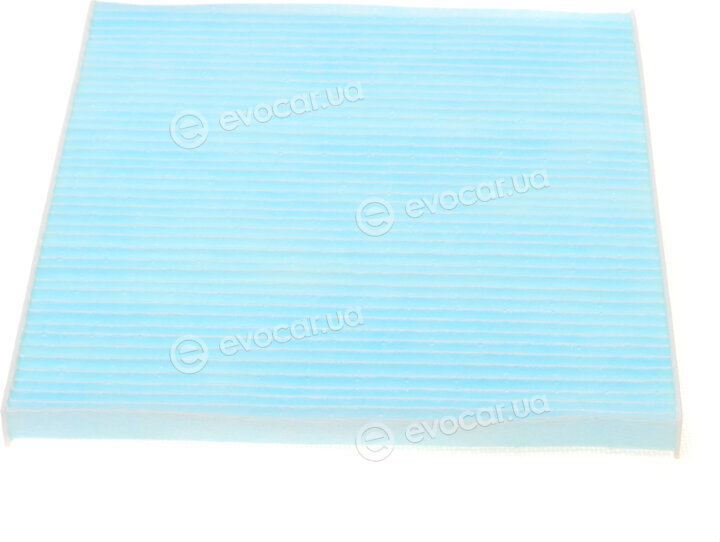 Blue Print ADG02582