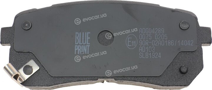 Blue Print ADG04289