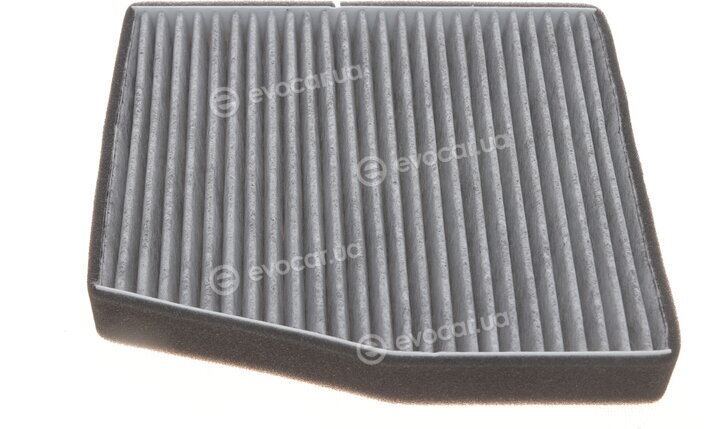 Solgy 104072