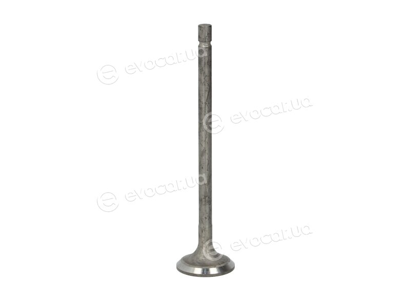 Freccia R6573/RNT