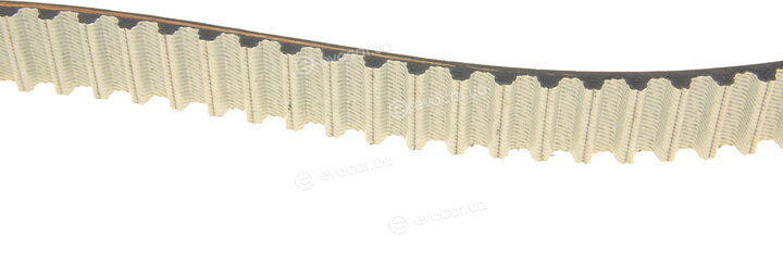 Dayco KTBWP9590