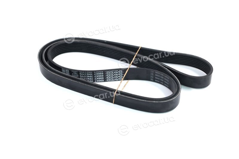 Dayco 7PK1770
