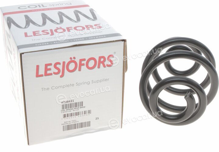 Lesjofors 4208431