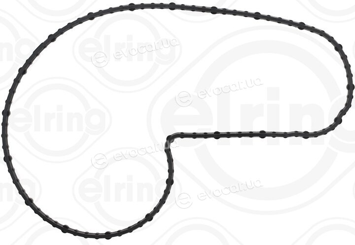 Elring 920.100