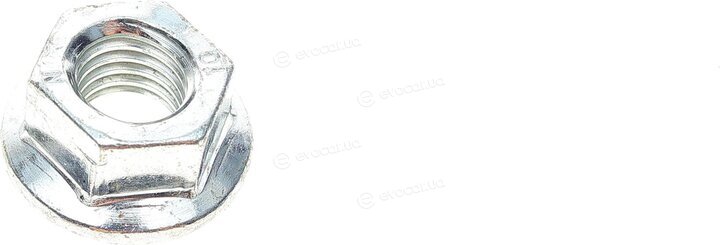Solgy 203158
