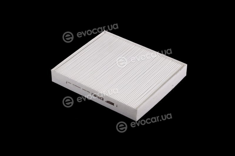 Hengst E3919LI