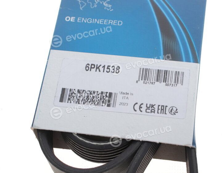 Dayco 6PK1538