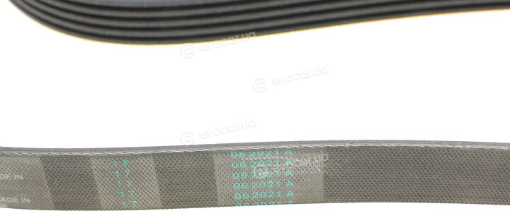 Continental 5PK1230