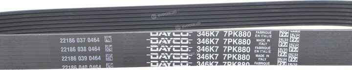 Dayco 7PK880