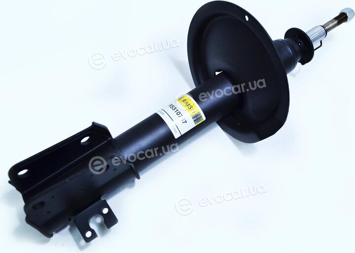 Raiso RS310767