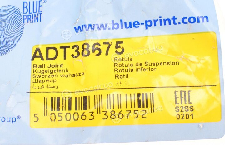 Blue Print ADT38675