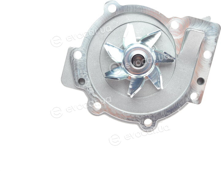 Continental CT1010WP1