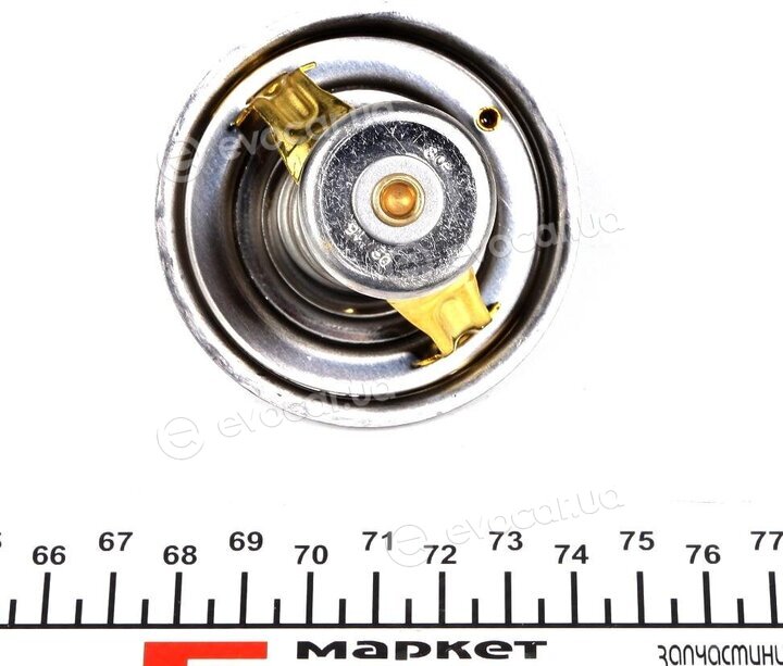 Wahler / BorgWarner 4137.80D