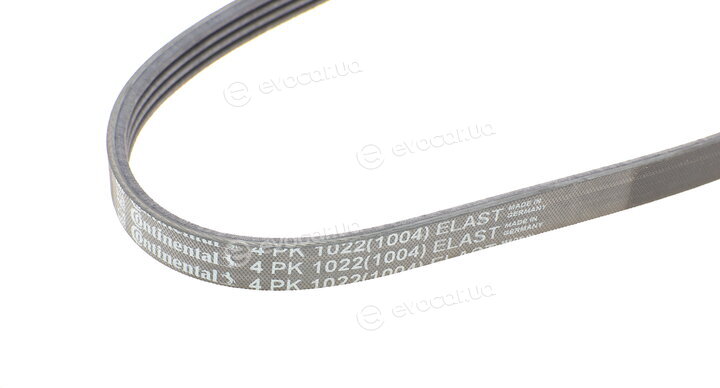 Continental 4PK1022 ELAST