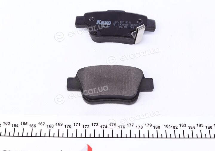 Kavo KBP-9019