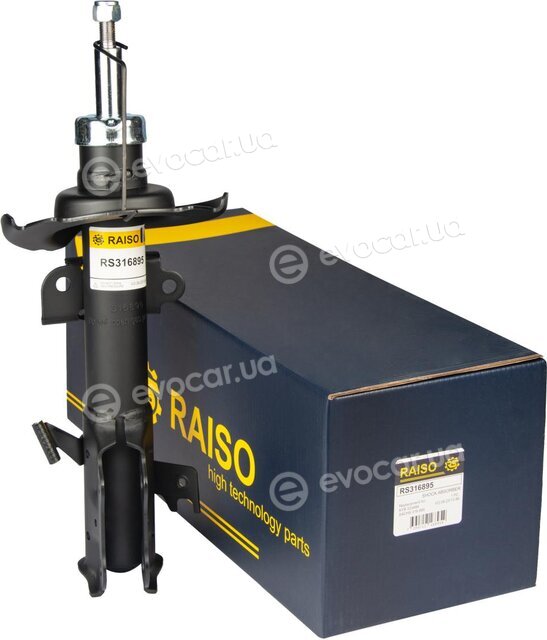 Raiso RS316895