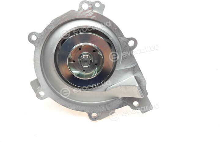 Hepu P1579