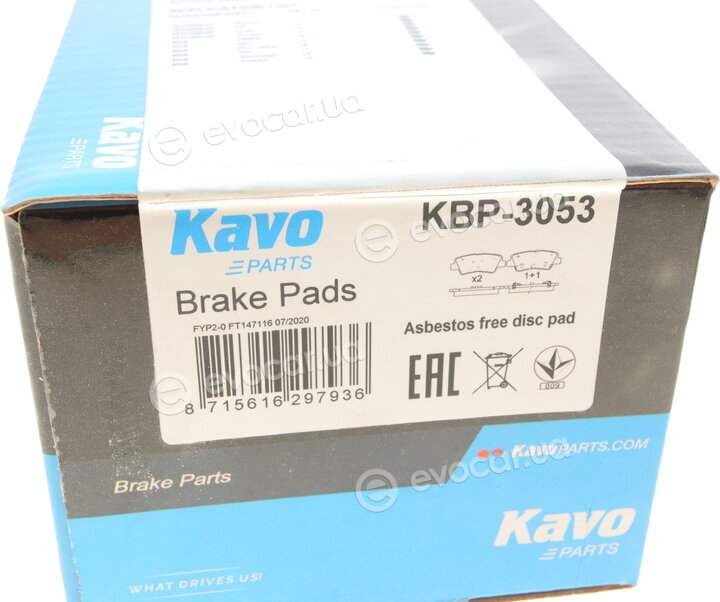 Kavo KBP-3053