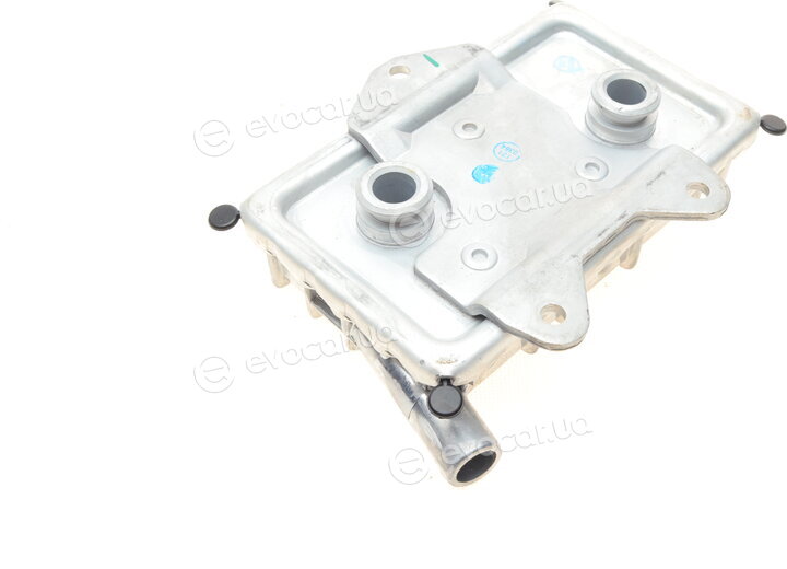 Rotweiss RW18001
