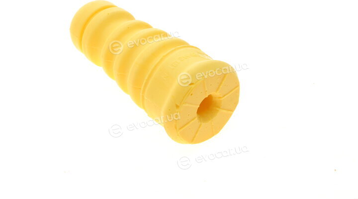 Borsehung B10012