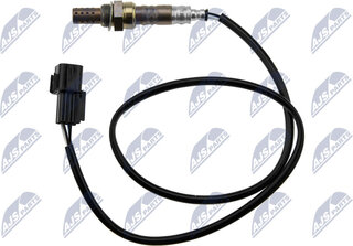 NTY ESL-MS-012