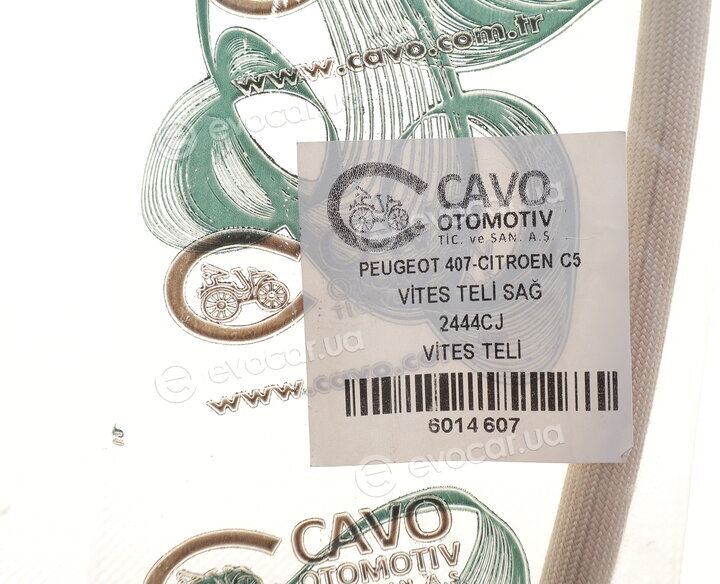 Cavo 6014 607