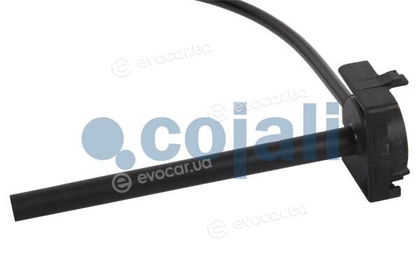Cojali 2260320