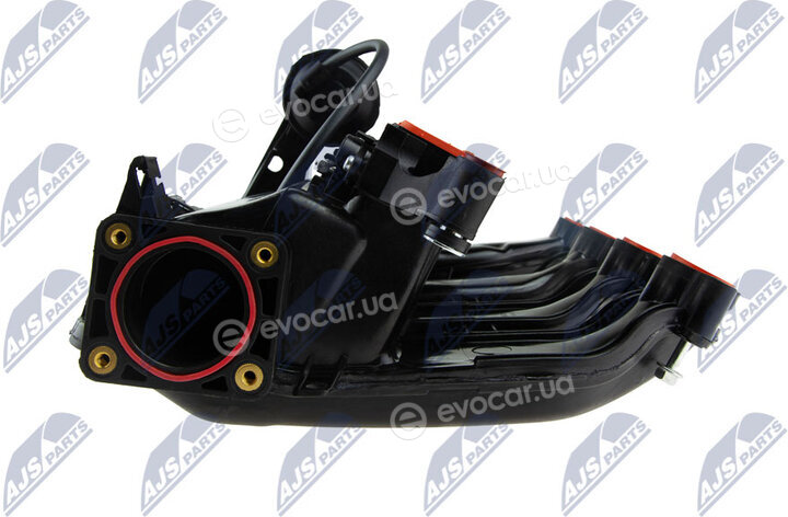 NTY BKS-BM-002
