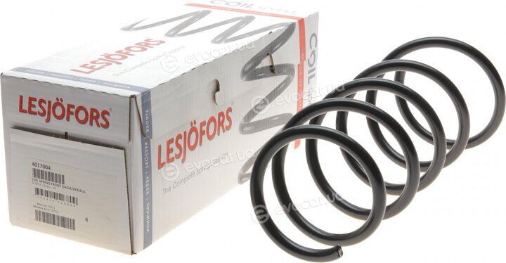 Lesjofors 4017004