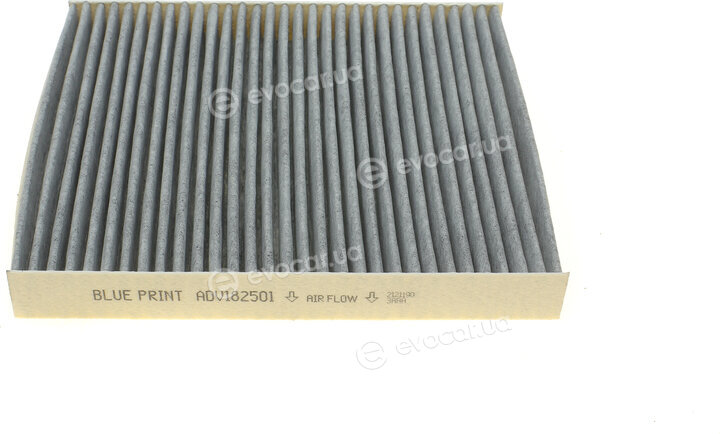 Blue Print ADV182501