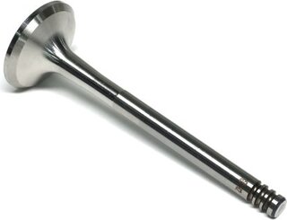 Gunes 6004