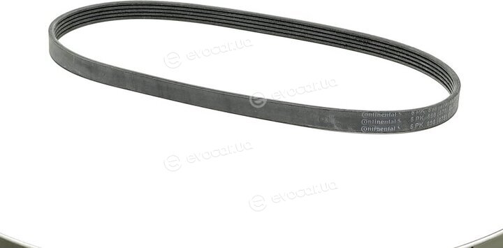 Continental 5PK898 ELAST