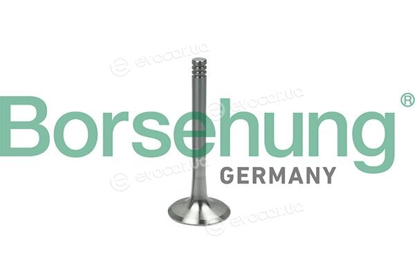 Borsehung B19000
