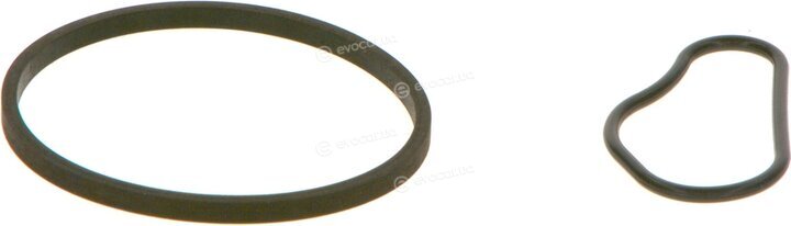 Bosch F 009 D00 783